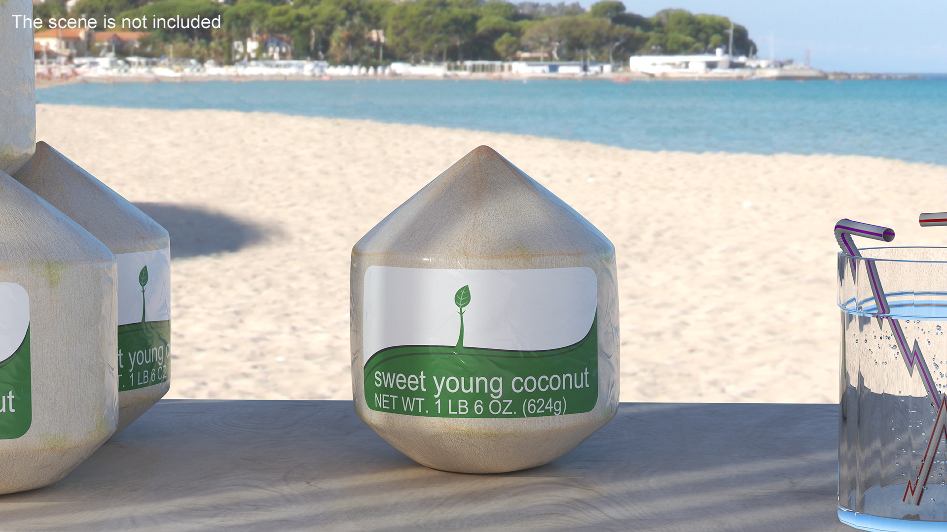 Fresh Young Shelled Coconut Pack 3D