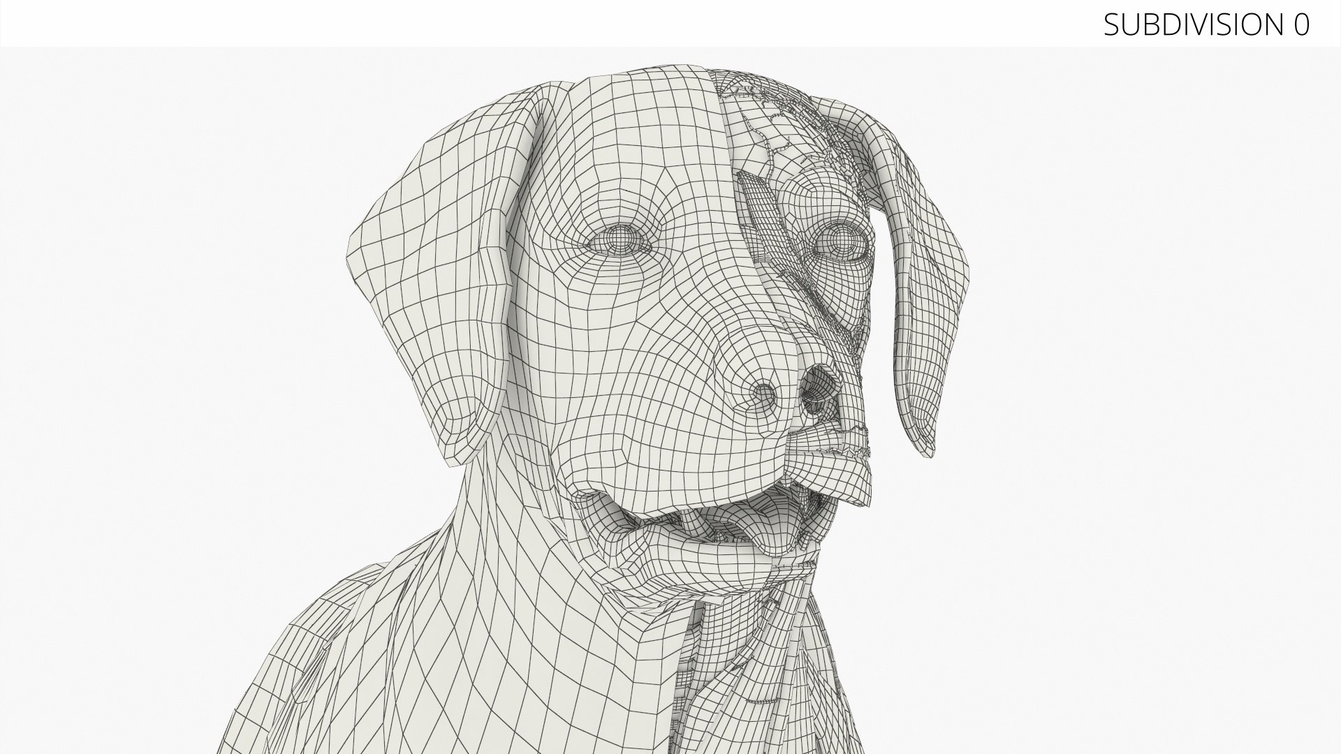Half Skin Dog Anatomy Muscular and Vascular System - view 6
