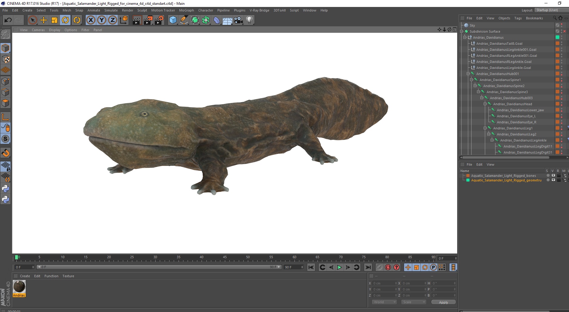 3D model Aquatic Salamander Light Rigged for Cinema 4D