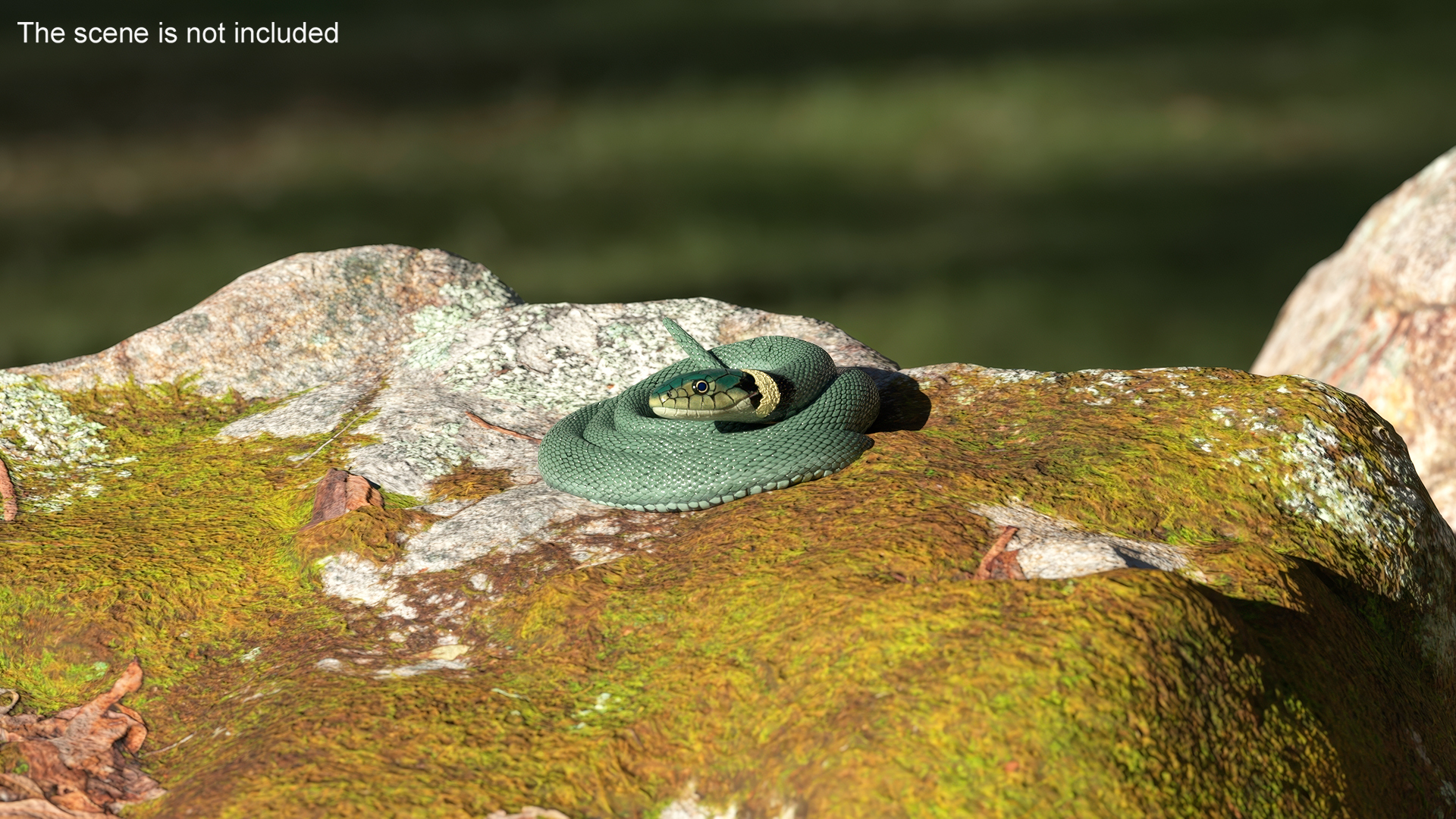 3D model Ringed Snake Green Coiled