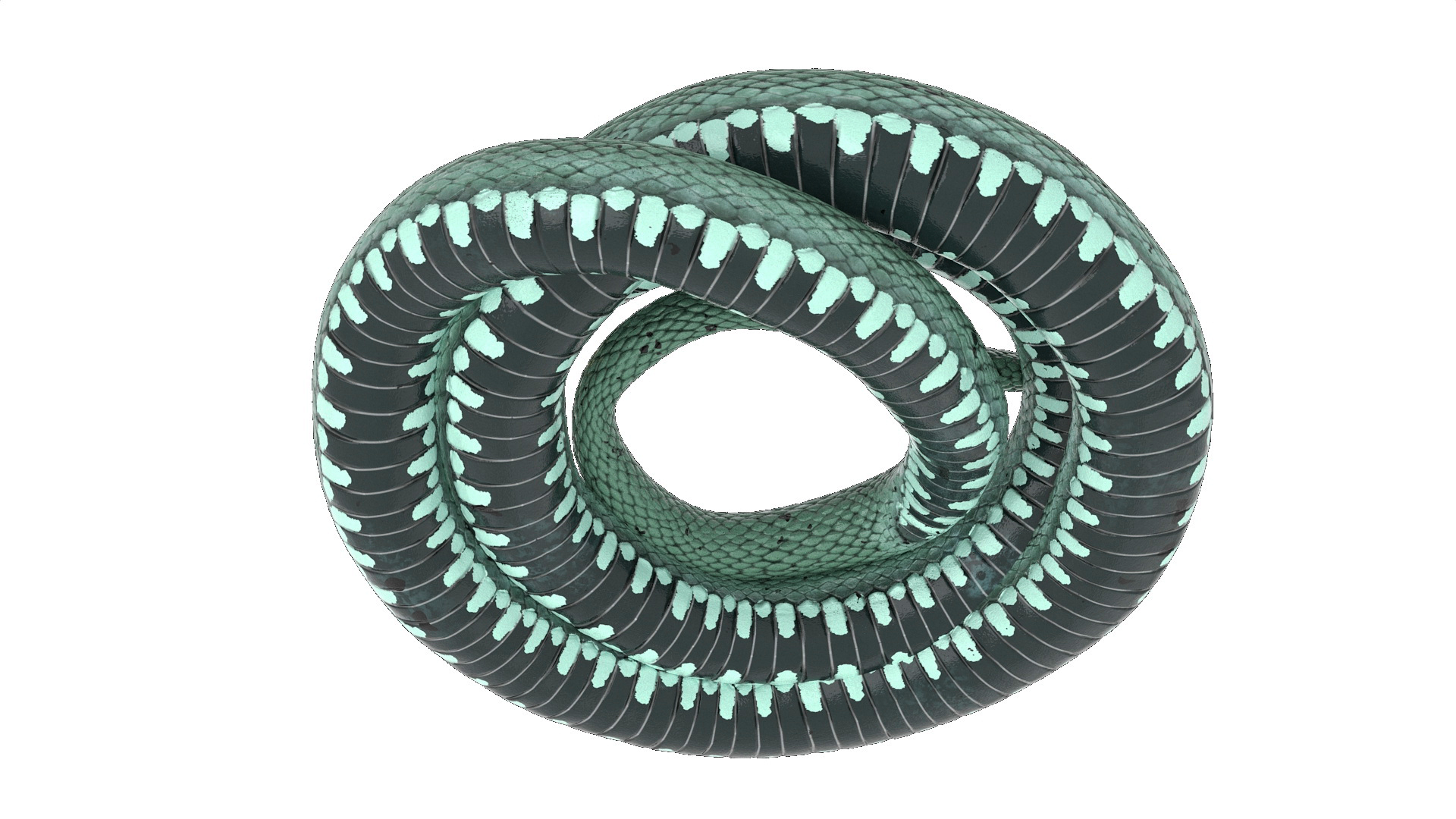 3D model Ringed Snake Green Coiled