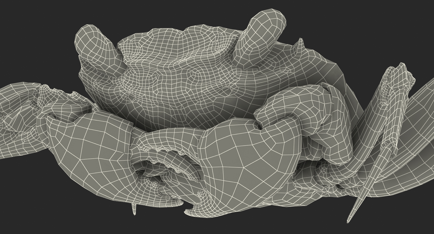 Vampire Crab Geosesarma Rigged with Fur 3D model