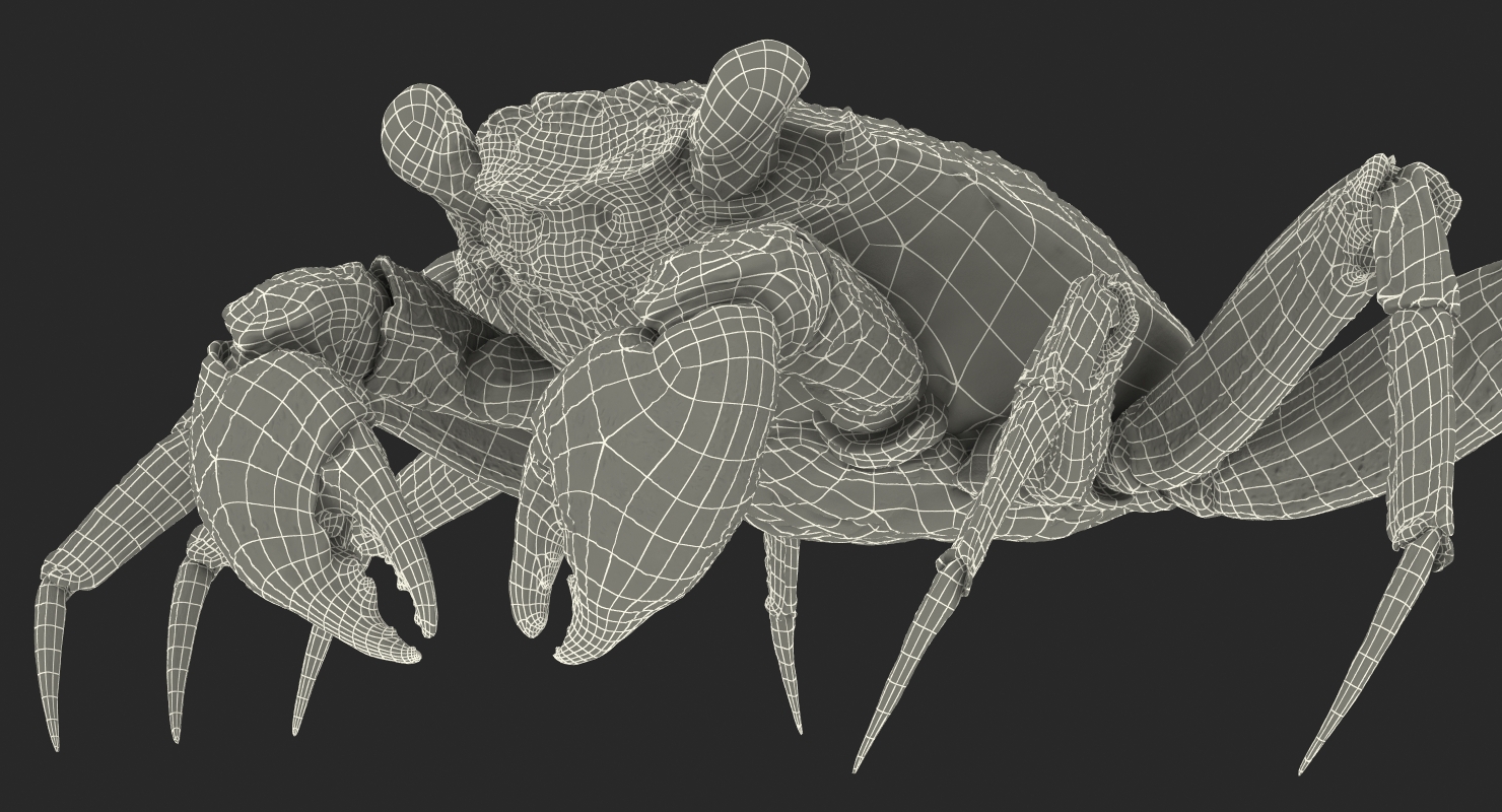 Vampire Crab Geosesarma Rigged with Fur 3D model