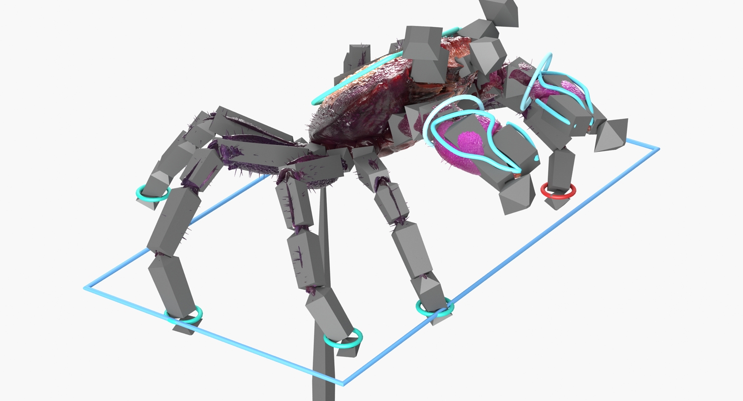 Vampire Crab Geosesarma Rigged with Fur 3D model