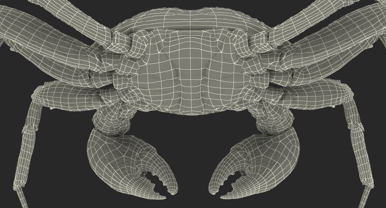 Vampire Crab Geosesarma Rigged with Fur 3D model