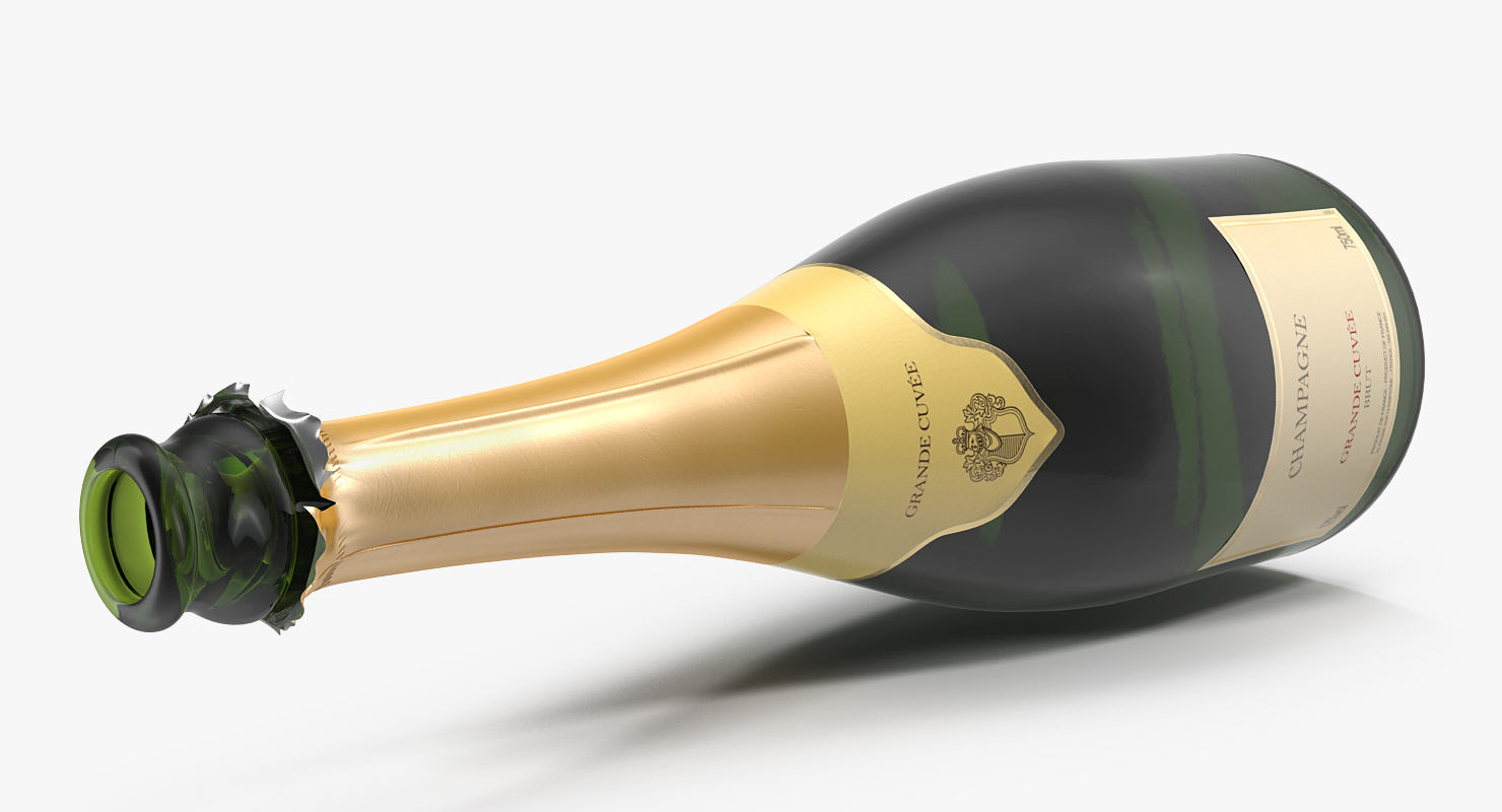 3D French Champagne Bottle Generic Opened model