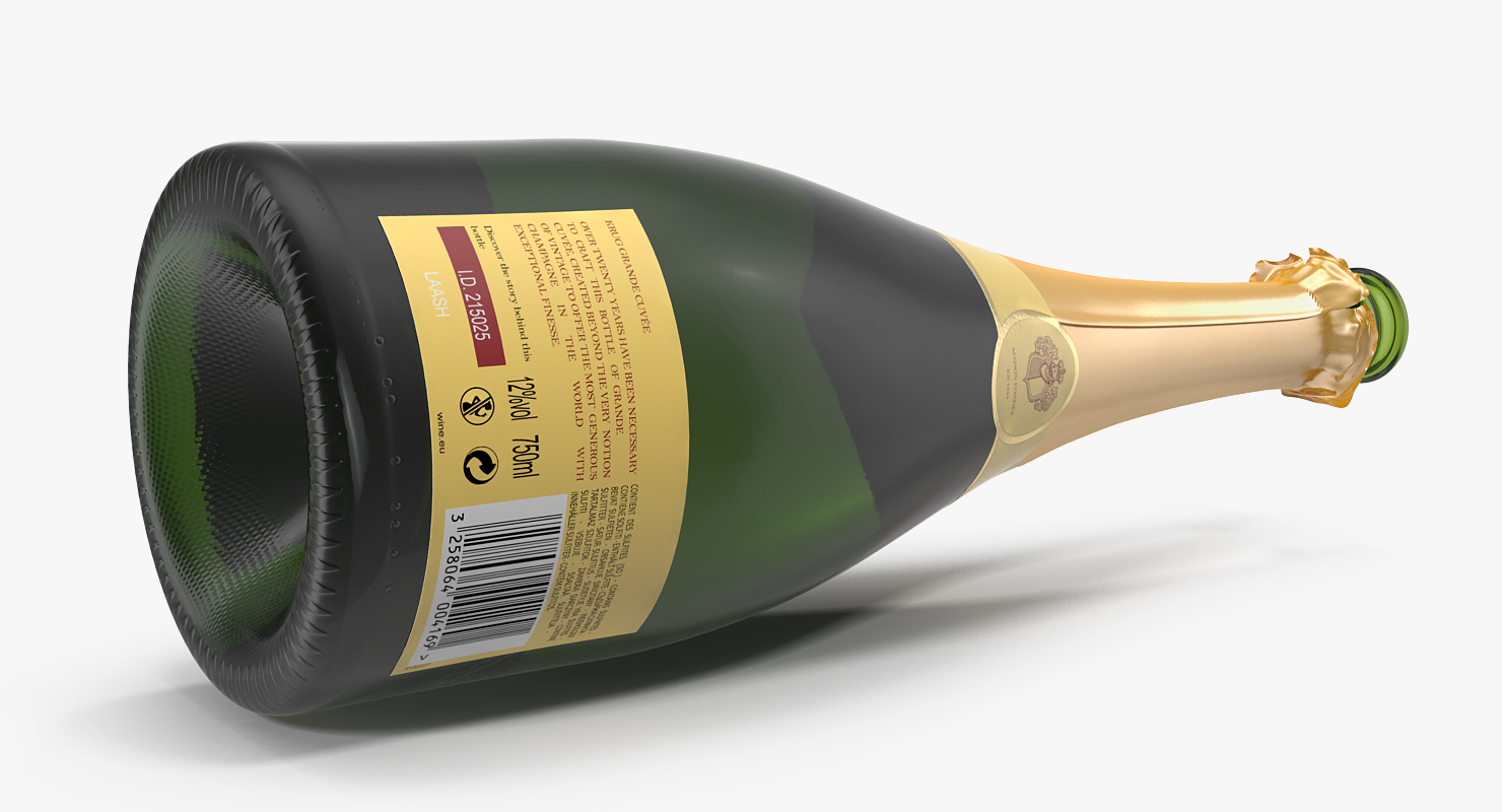 3D French Champagne Bottle Generic Opened model