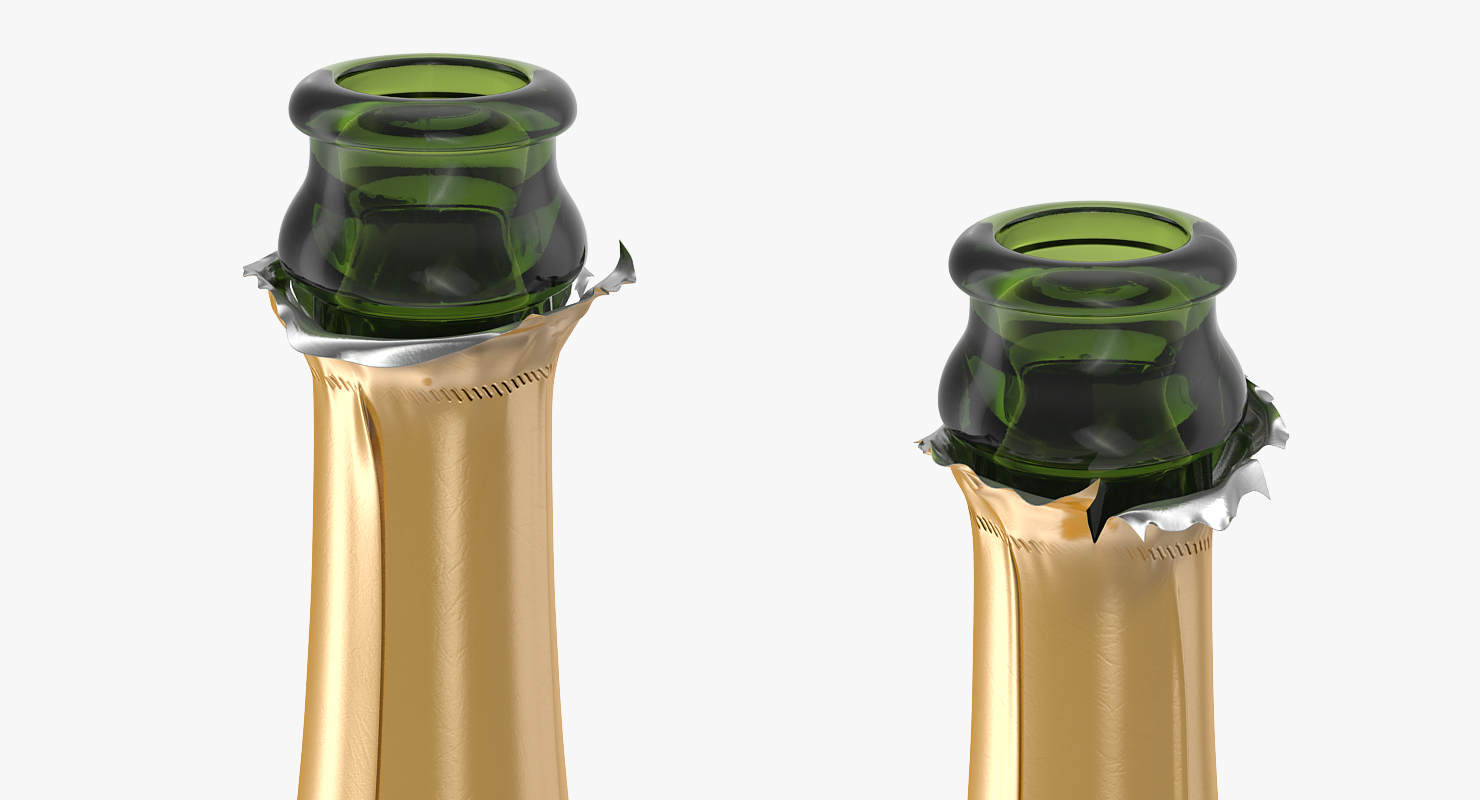 3D French Champagne Bottle Generic Opened model