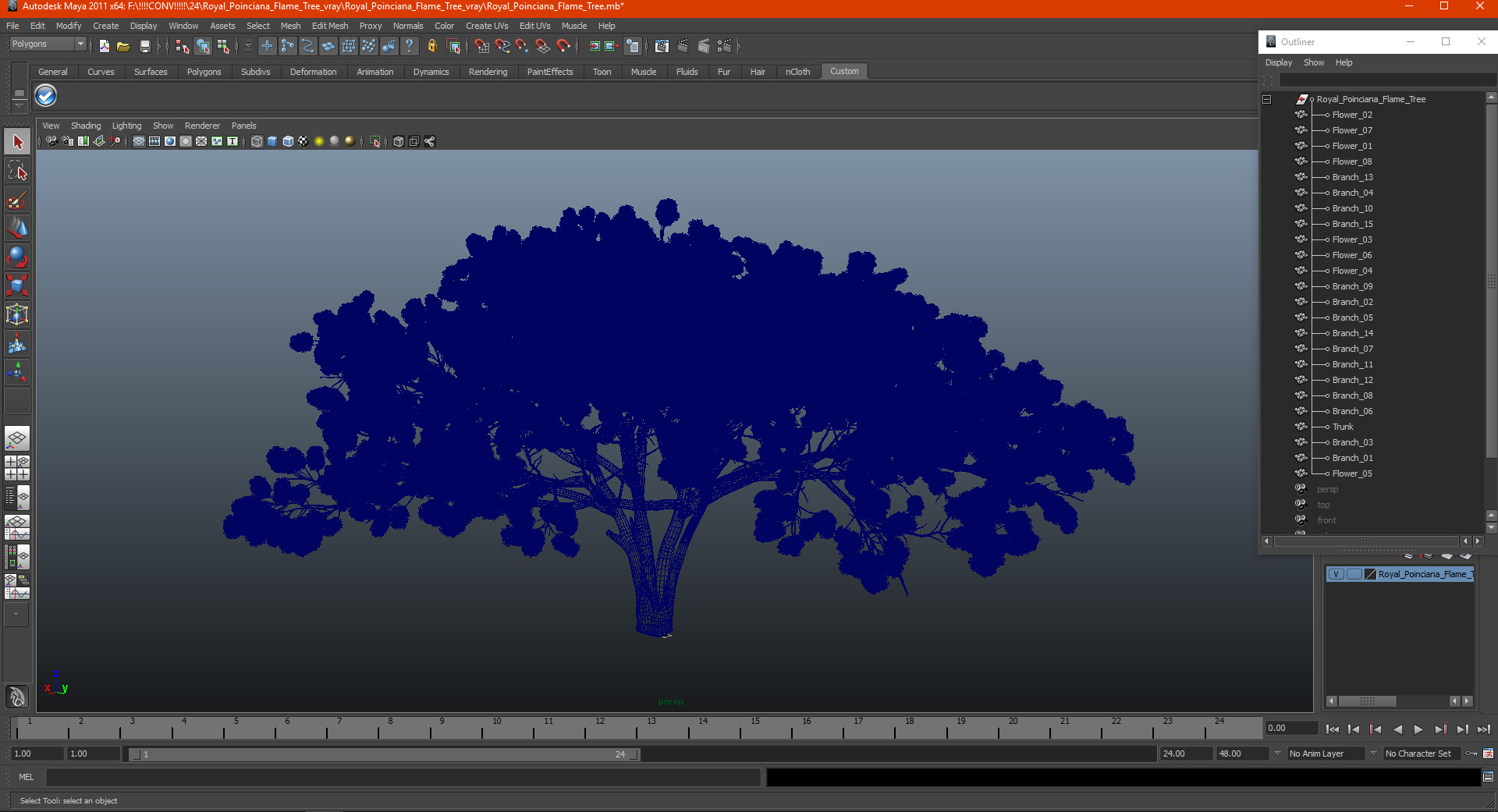 3D Royal Poinciana Flame Tree