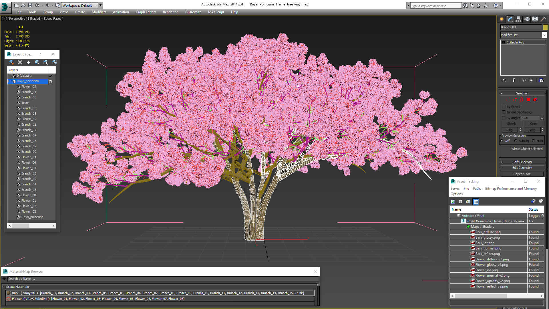 3D Royal Poinciana Flame Tree