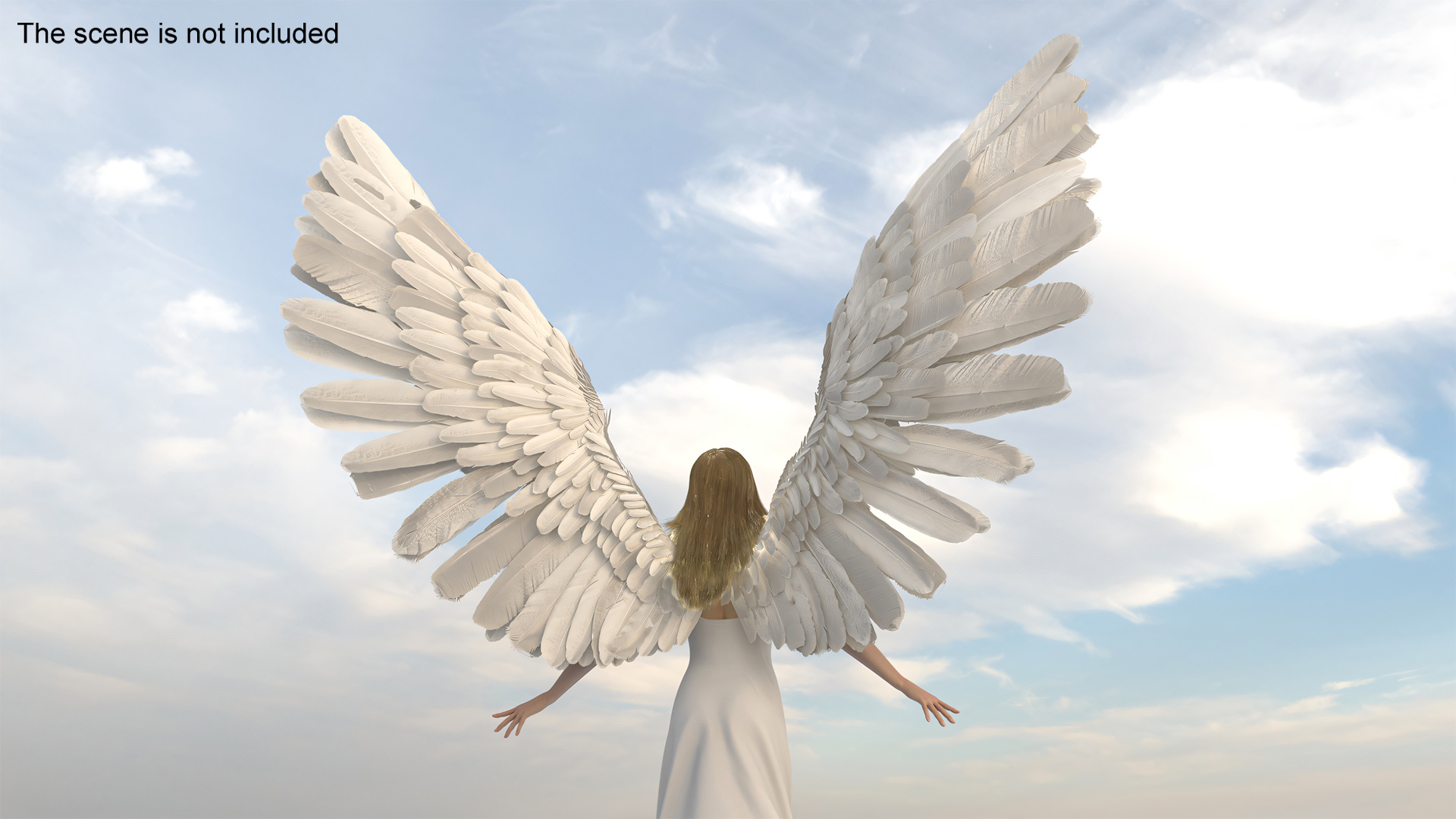 3D Beautiful Blonde Woman Angel model