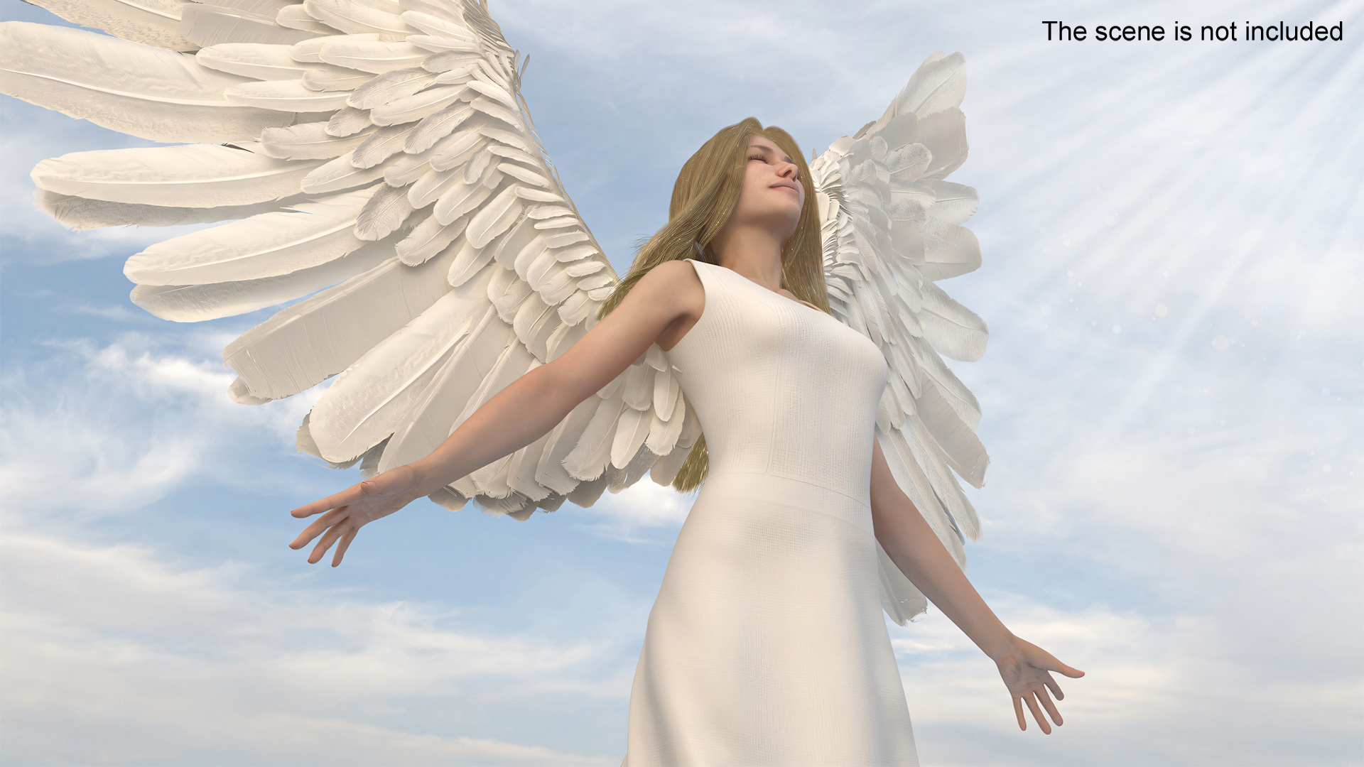 3D Beautiful Blonde Woman Angel model