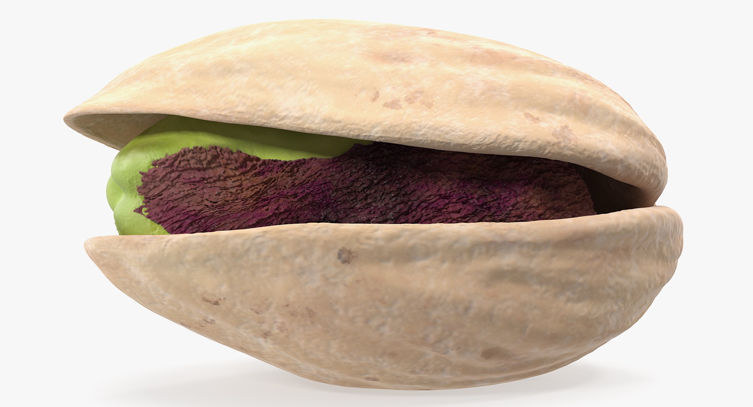 Roasted Opened Pistachio 3D model