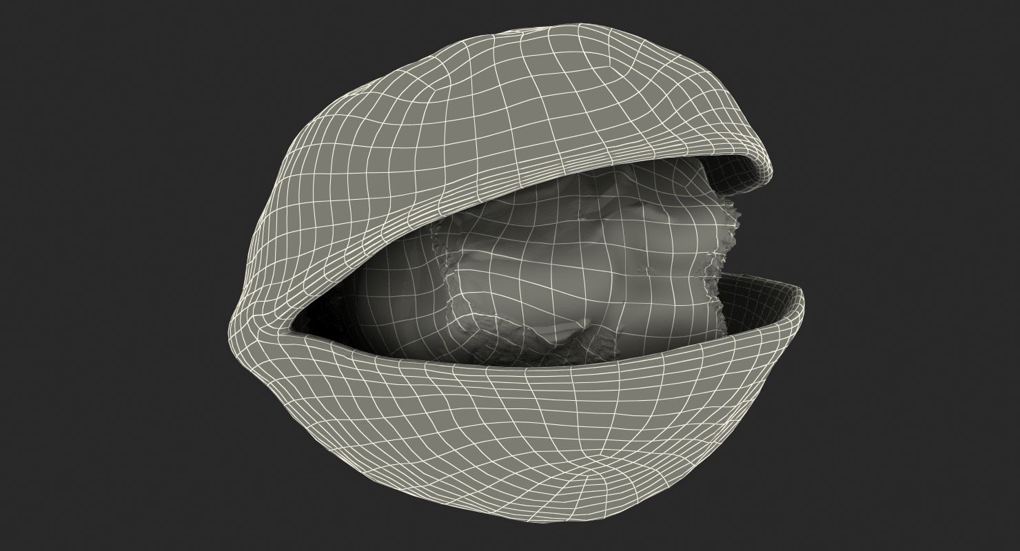 Roasted Opened Pistachio 3D model