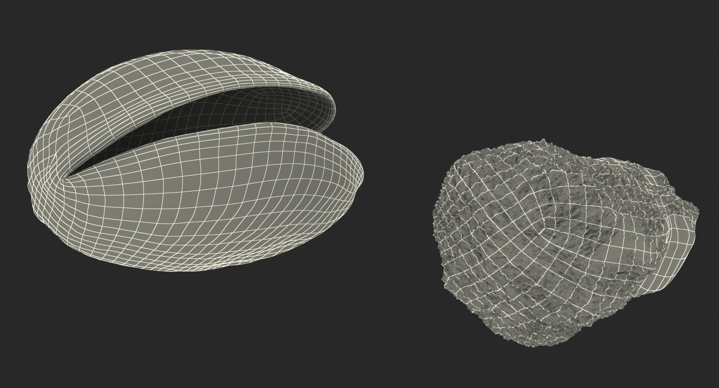 Roasted Opened Pistachio 3D model