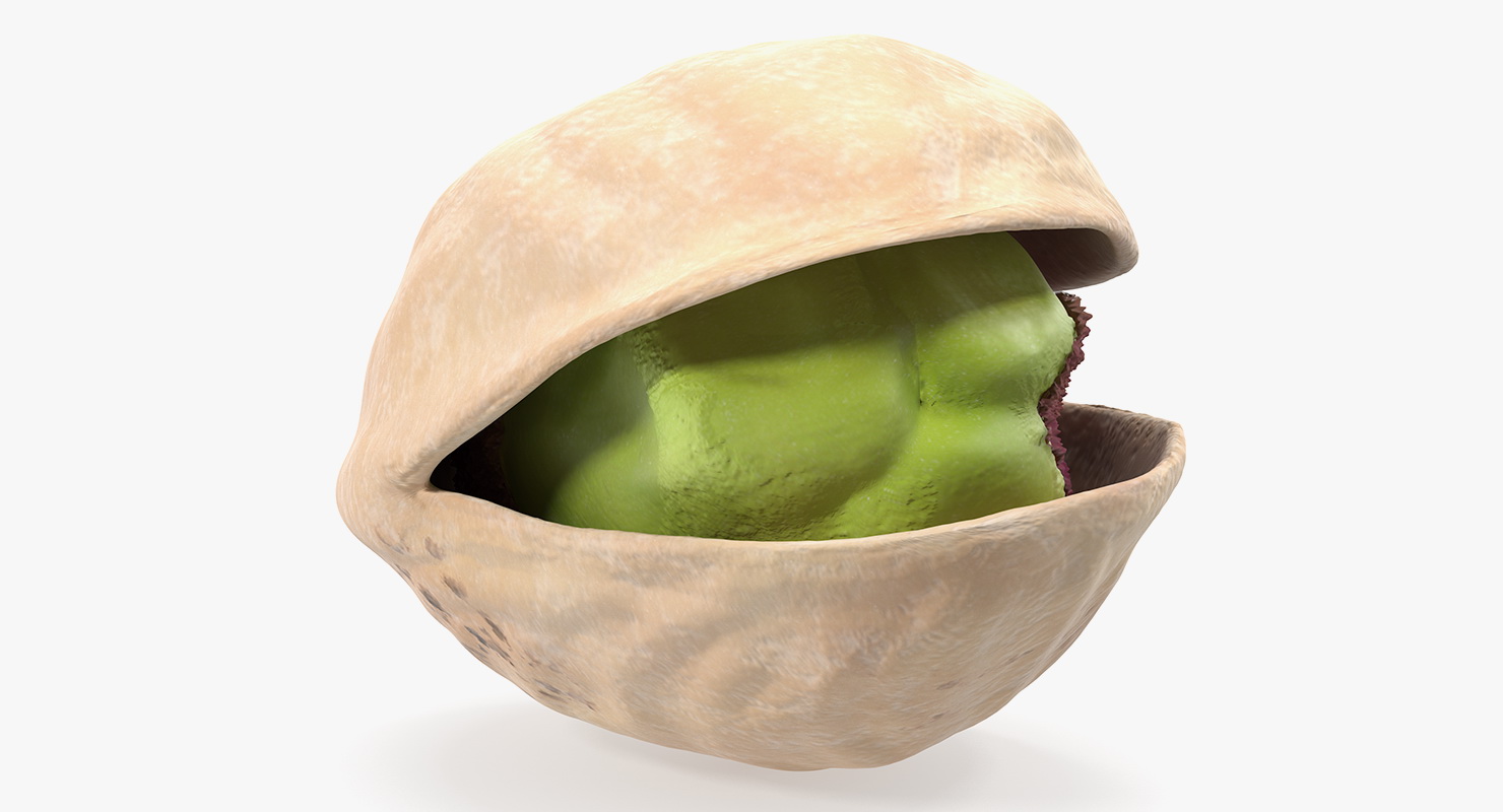 Roasted Opened Pistachio 3D model