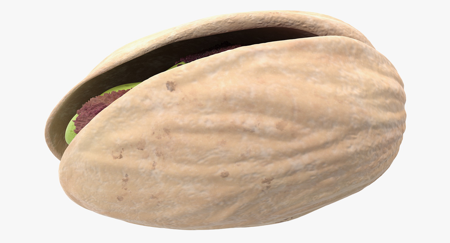 Roasted Opened Pistachio 3D model