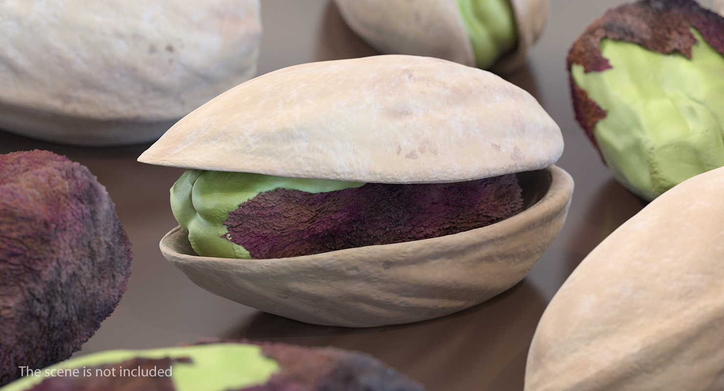 Roasted Opened Pistachio 3D model