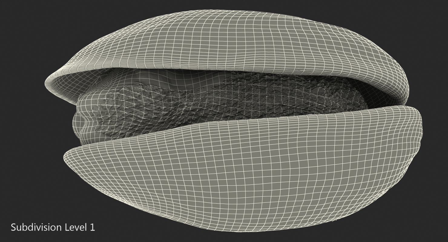 Roasted Opened Pistachio 3D model