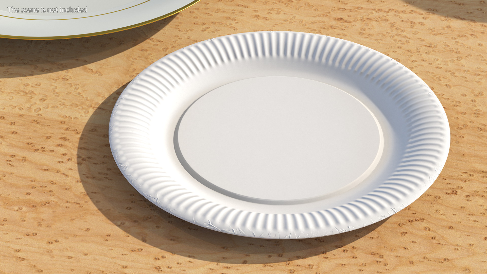 3D Paper Plate