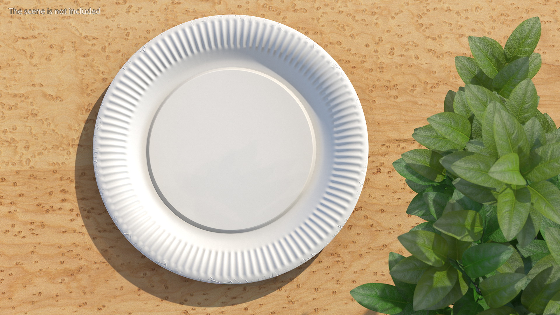 3D Paper Plate