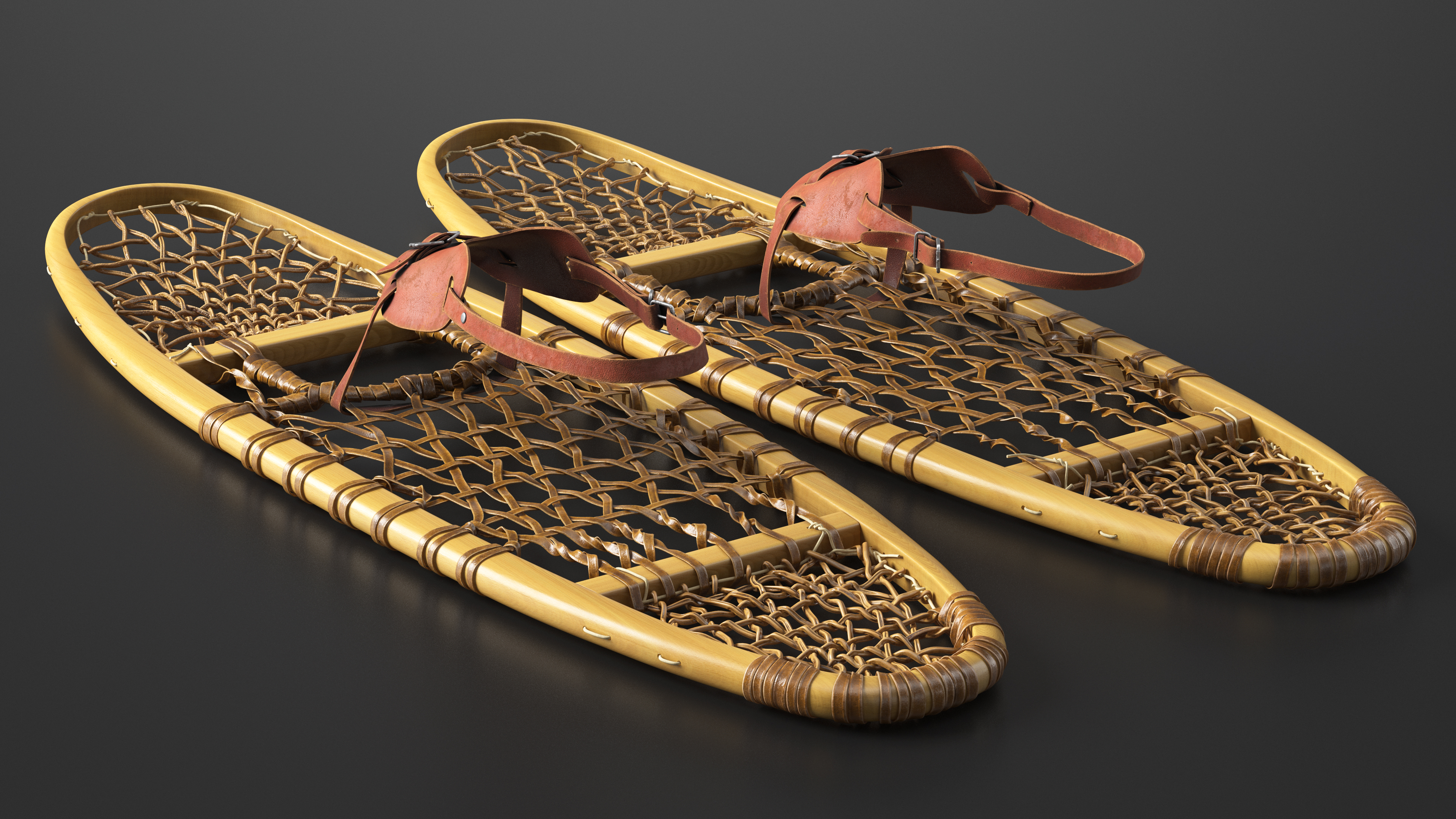 Canadian Wood Snowshoes Ready to Wear 3D