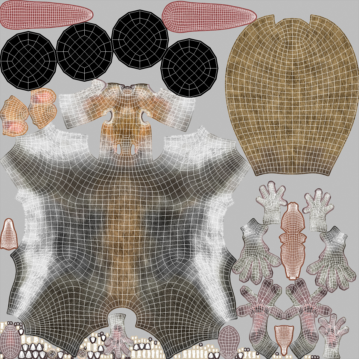 3D Gray Squirrel Fur Animated Rigged model