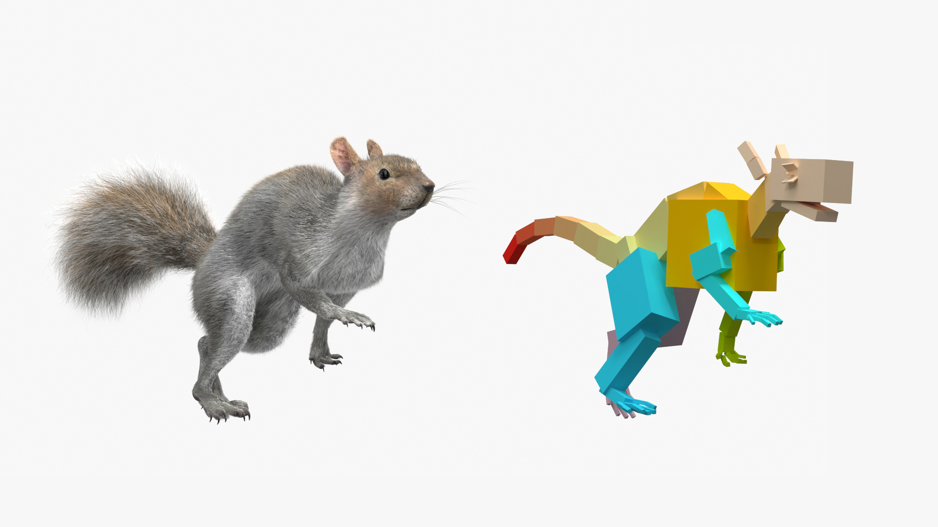3D Gray Squirrel Fur Animated Rigged model