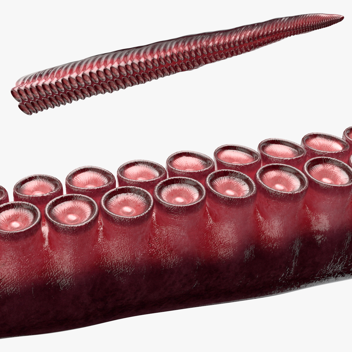 Tentacles