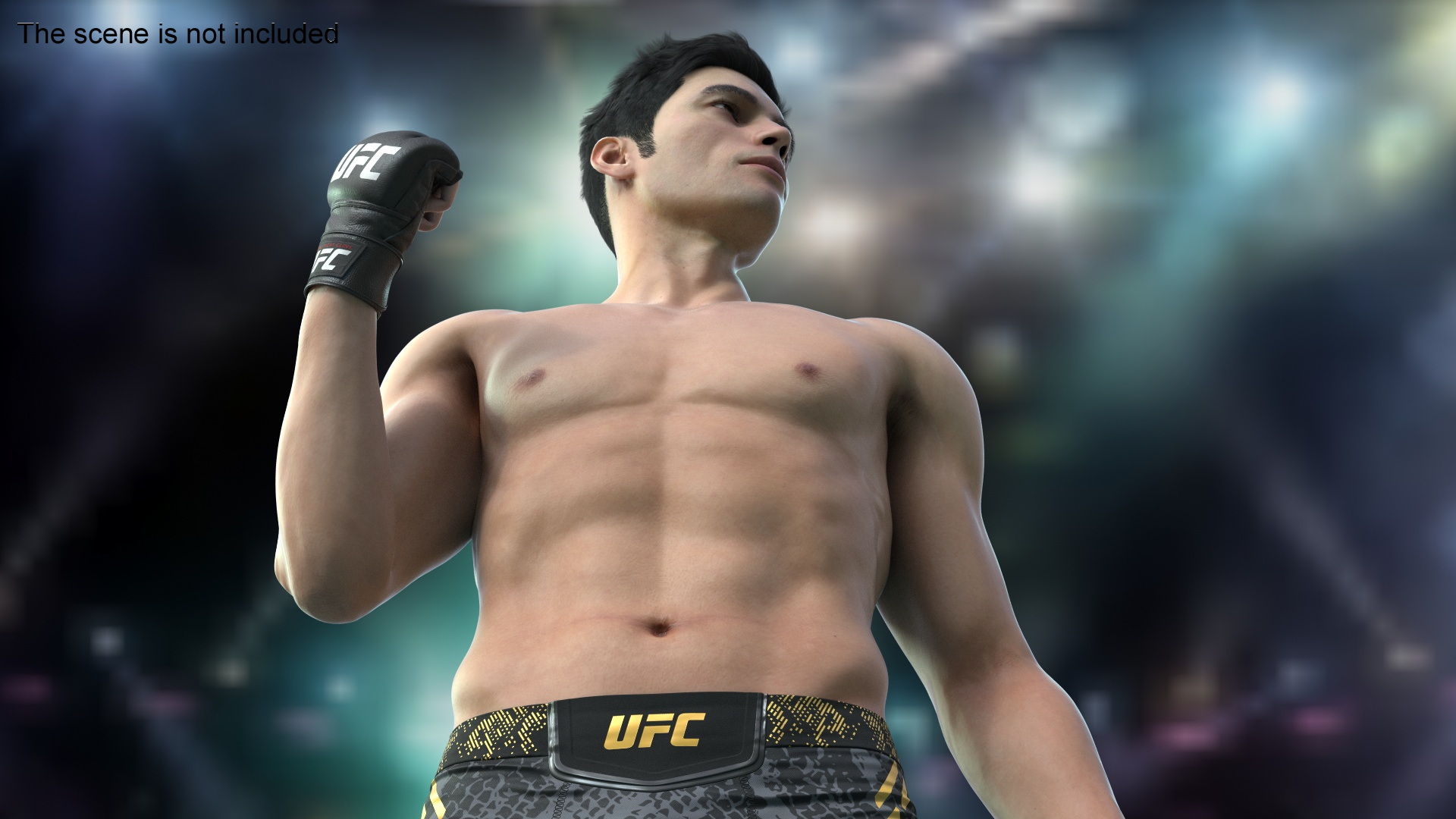 Fighter UFC MMA in Pose Fur 3D