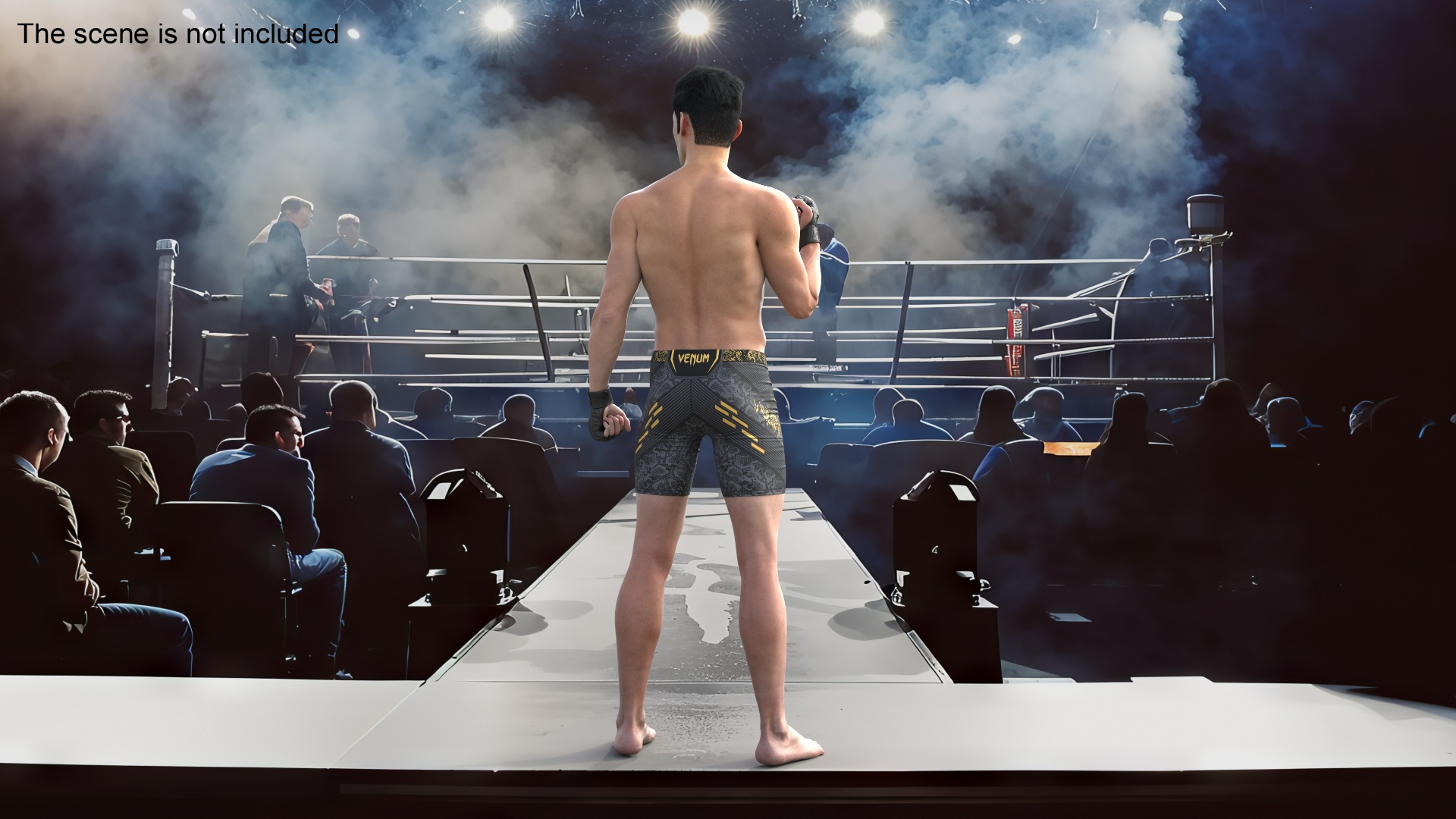 Fighter UFC MMA in Pose Fur 3D