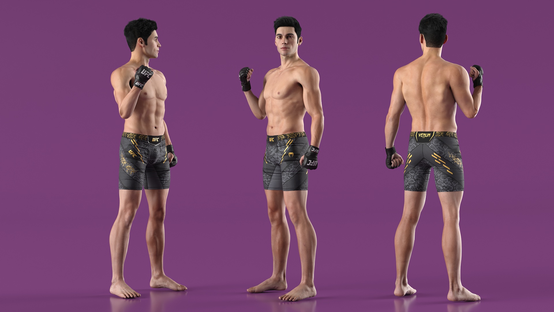 Fighter UFC MMA in Pose Fur 3D