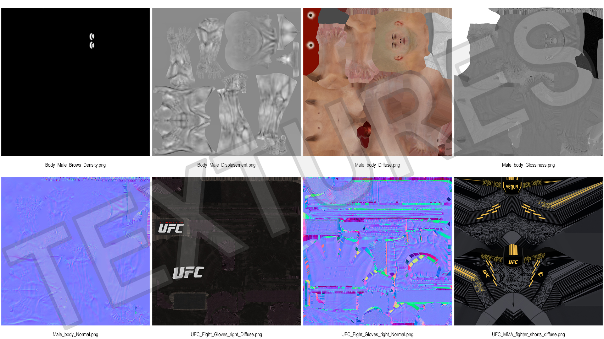 Fighter UFC MMA in Pose Fur 3D