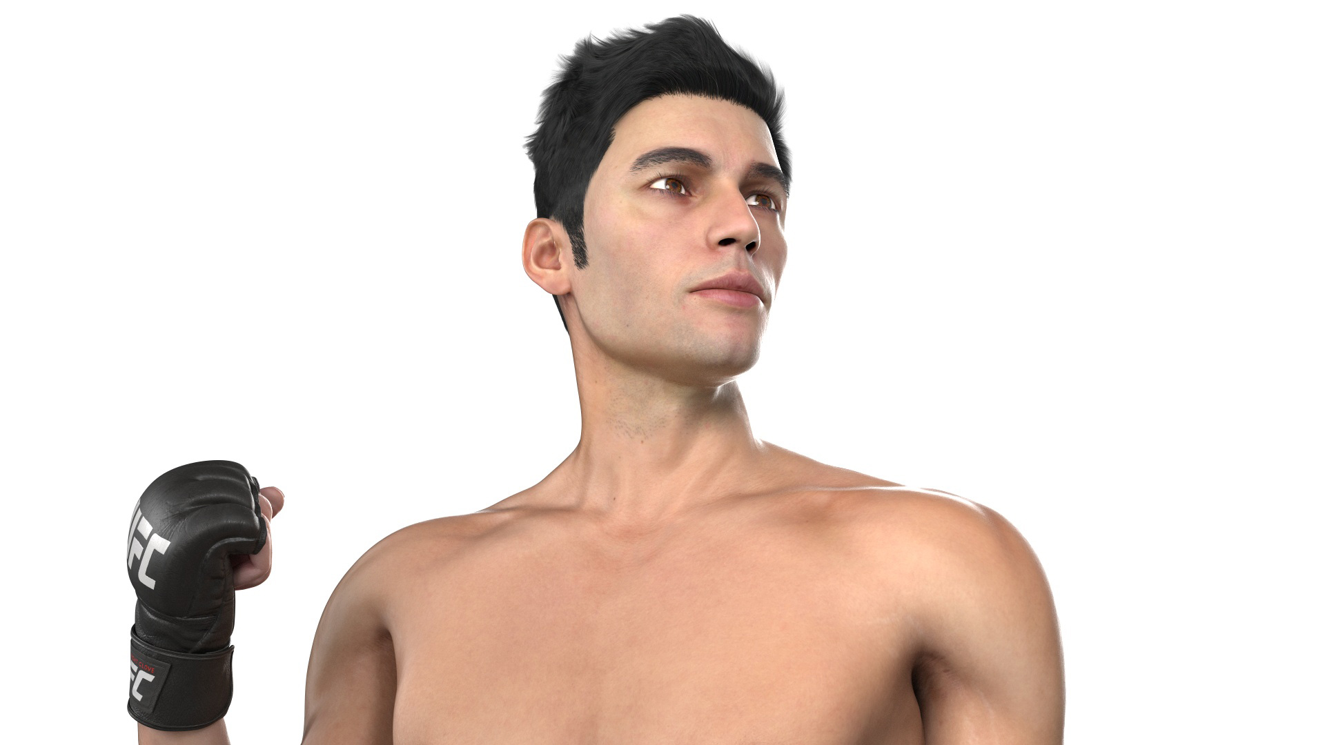 Fighter UFC MMA in Pose Fur 3D