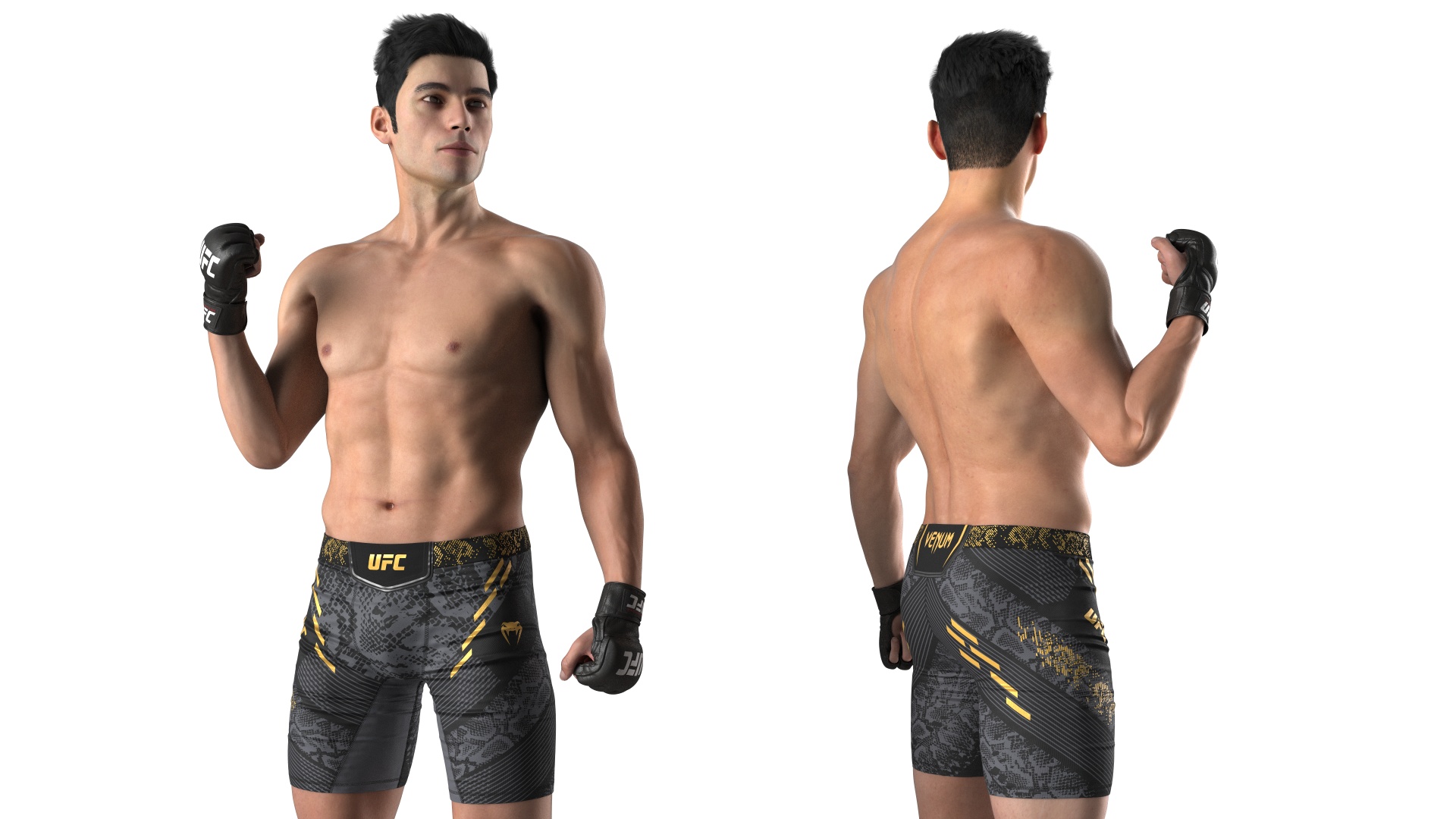 Fighter UFC MMA in Pose Fur 3D