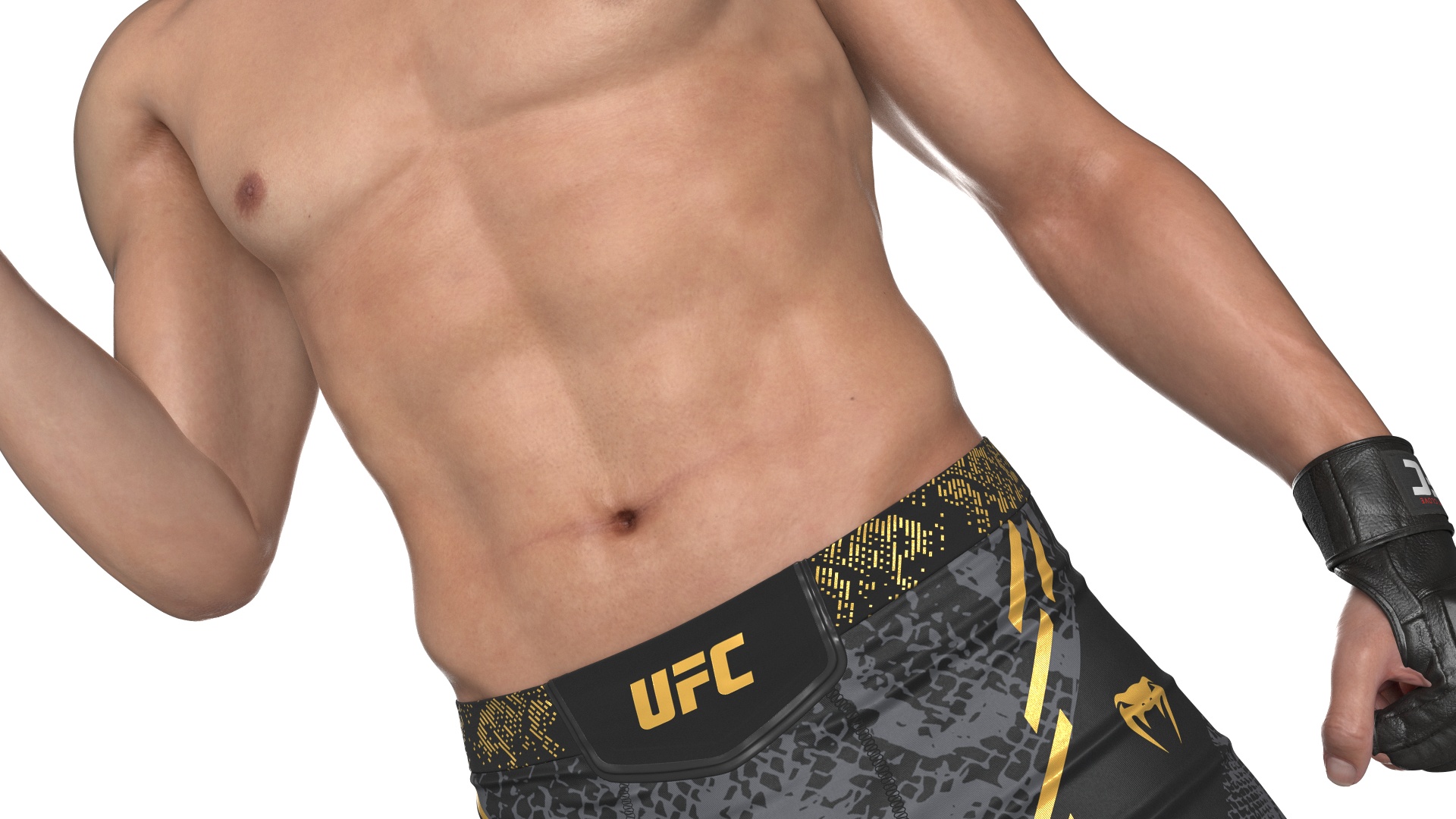 Fighter UFC MMA in Pose Fur 3D