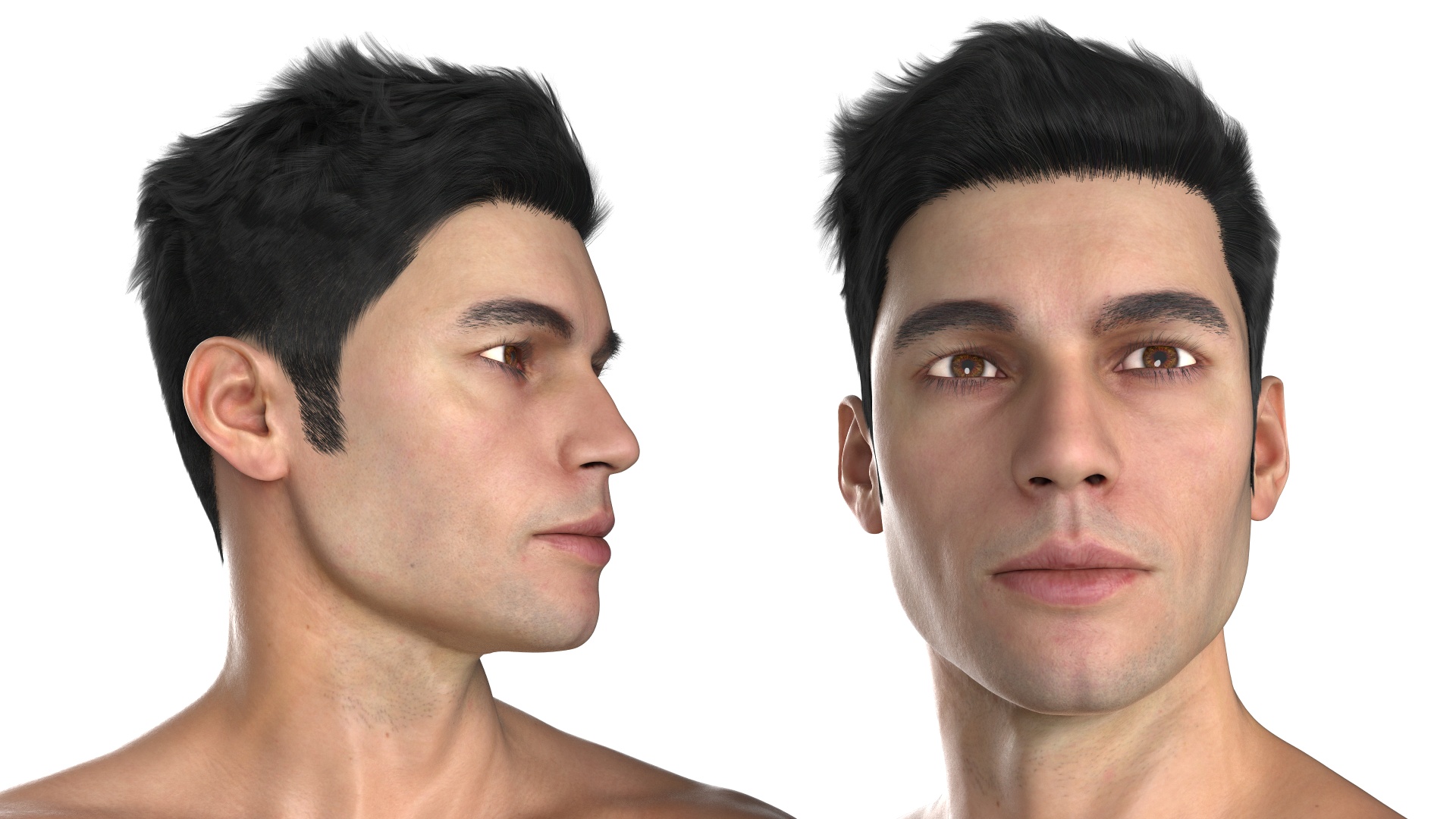 Fighter UFC MMA in Pose Fur 3D
