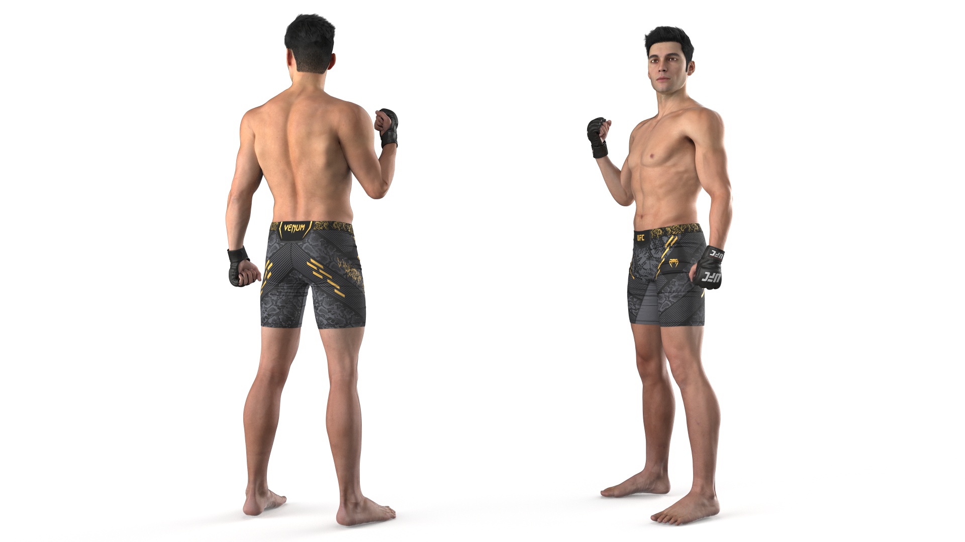 Fighter UFC MMA in Pose Fur 3D