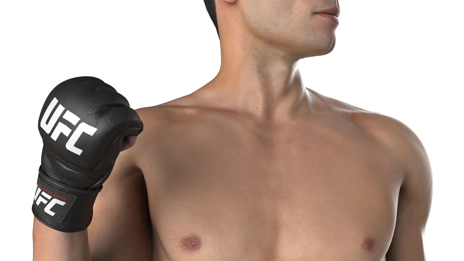 Fighter UFC MMA in Pose Fur 3D