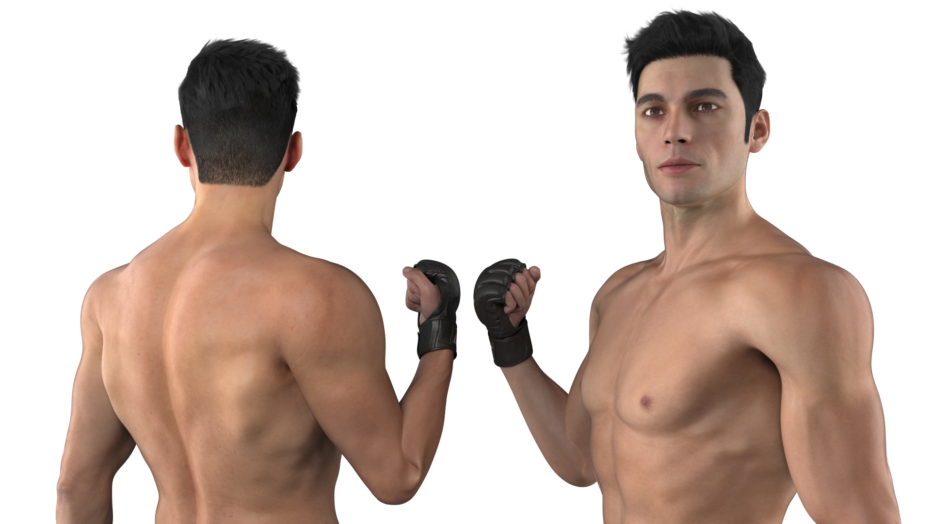 Fighter UFC MMA in Pose Fur 3D
