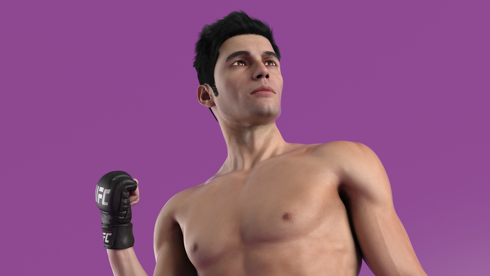 Fighter UFC MMA in Pose Fur 3D