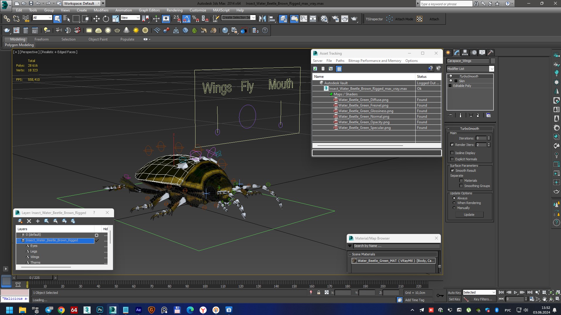 Insect Water Beetle Brown Rigged 3D