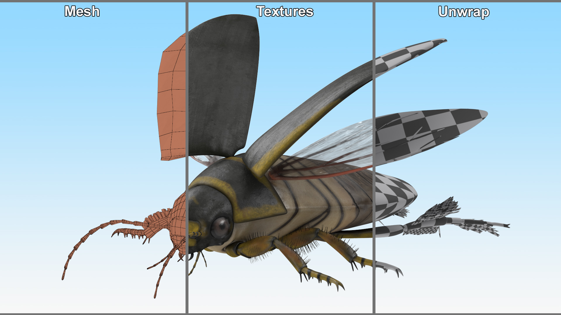 Insect Water Beetle Brown Rigged 3D