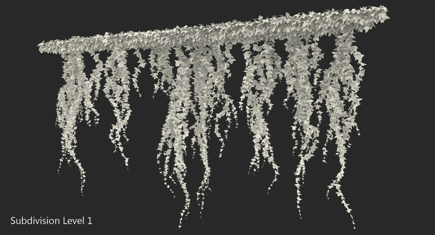 Ivy Branches 3D