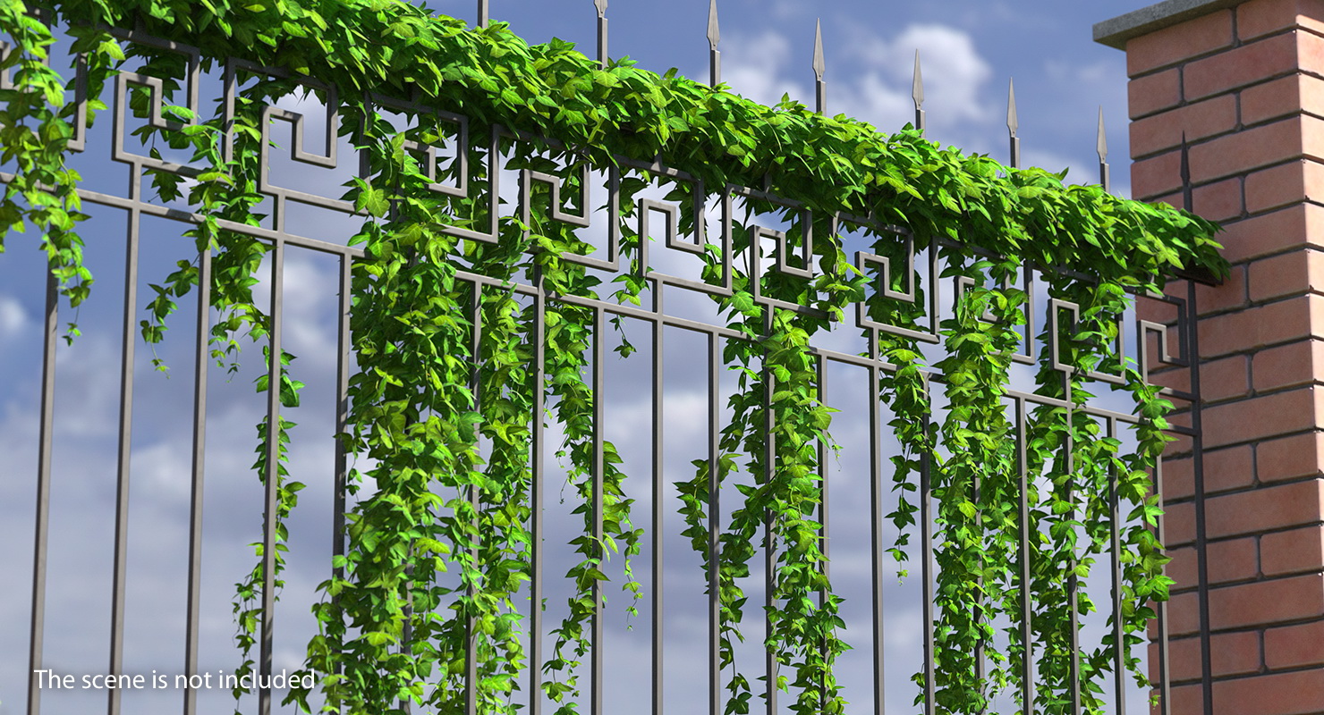 Ivy Branches 3D