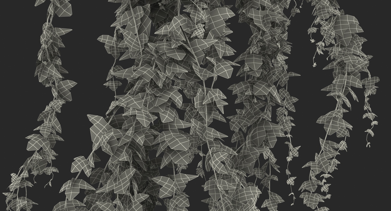 Ivy Branches 3D