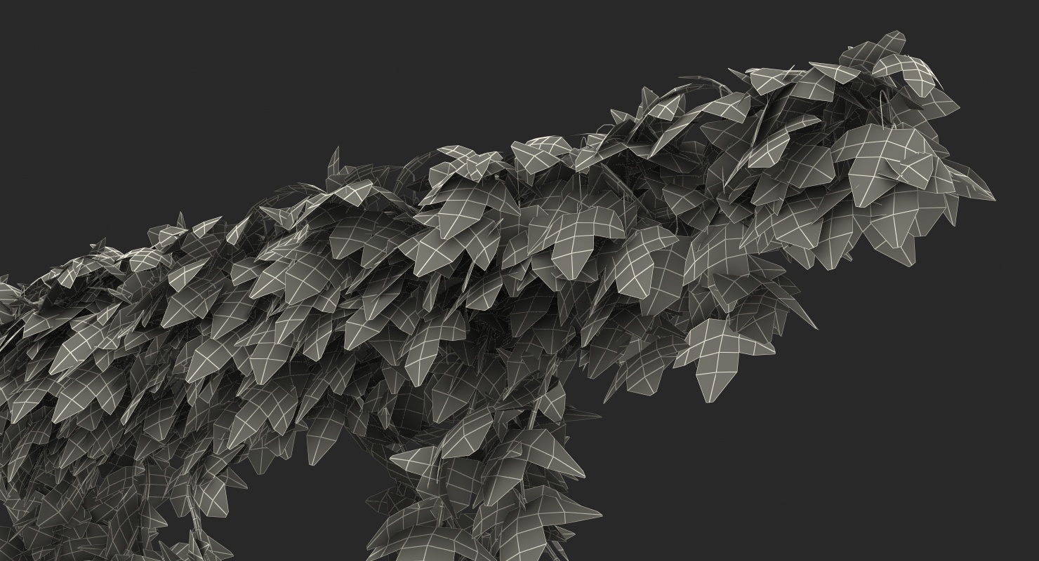 Ivy Branches 3D