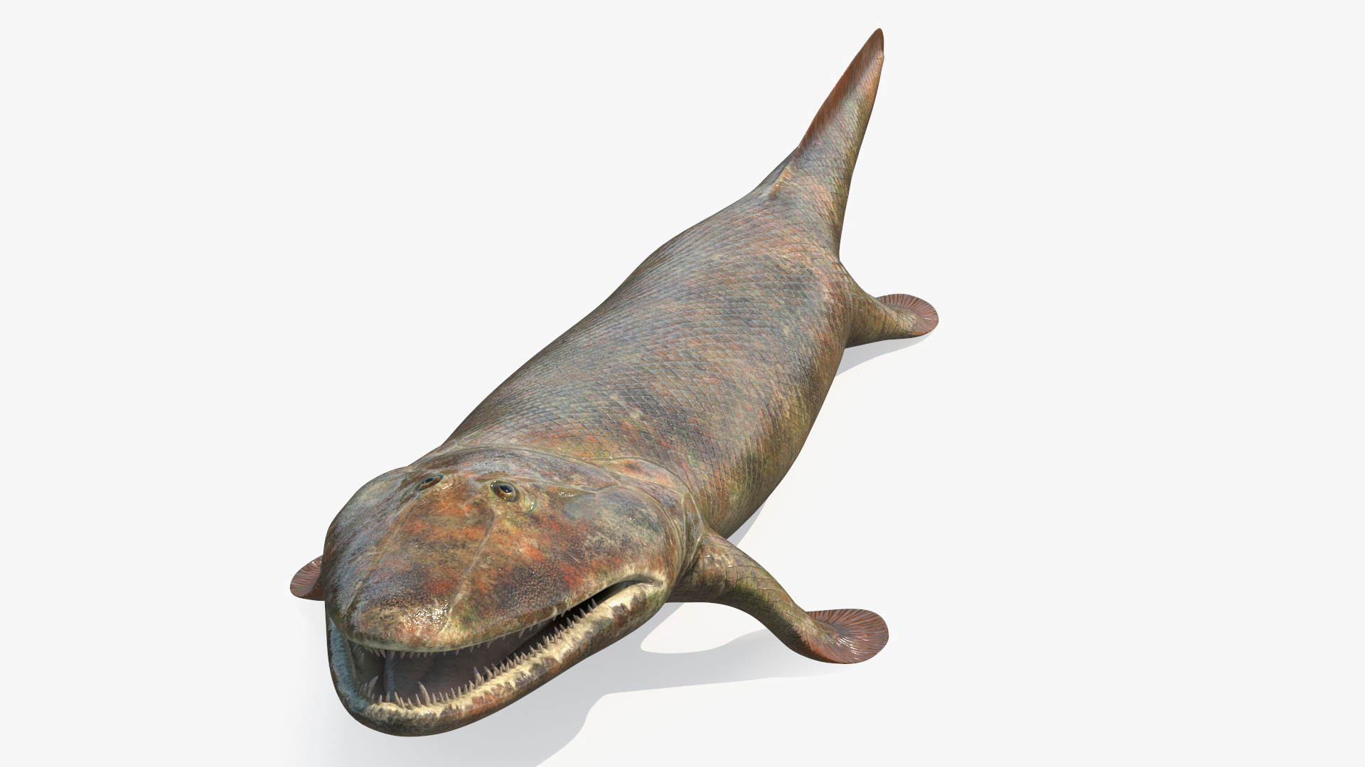3D model Tiktaalik Rigged for Maya