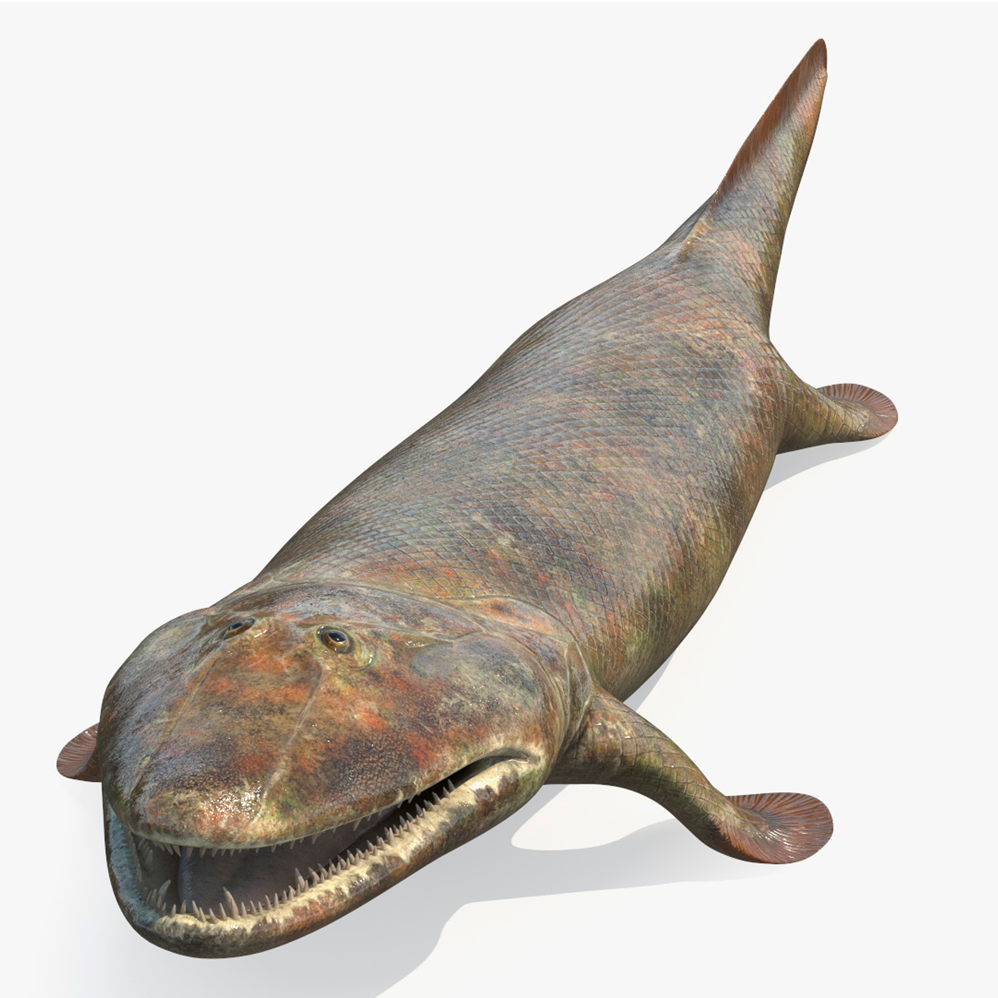 3D model Tiktaalik Rigged for Maya