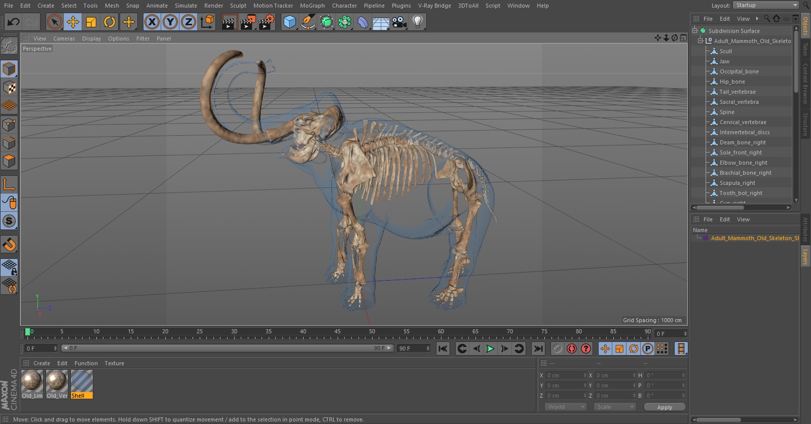 Adult Mammoth Old Skeleton Shell Roar 3D